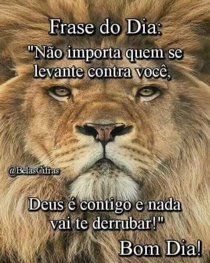 Meu ZapZap - Imagens Bom dia - Engraçadas para Whatsapp e Facebook Meu ZapZap - Imagens Bom dia - Engraçadas para Whatsapp e Facebook