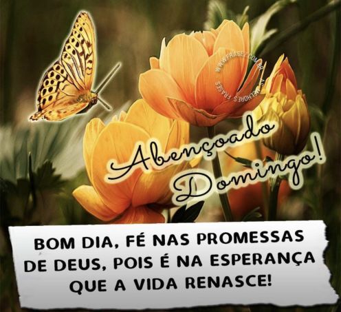 Meu ZapZap - Imagens Bom dia Domingo - Saudações para Whatsapp e Facebook Meu ZapZap - Imagens Bom dia Domingo - Saudações para Whatsapp e Facebook