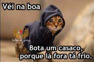 Meu ZapZap - Imagens Frio - Engraçadas para Whatsapp e Facebook