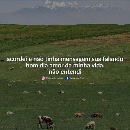 Meu ZapZap - Imagens Não entendi nada - Amor e Amizade para Whatsapp e Facebook Meu ZapZap - Imagens Não entendi nada - Amor e Amizade para Whatsapp e Facebook