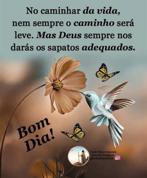 Meu ZapZap - Imagens Bom dia quarta-feira - Saudações para Whatsapp e Facebook Meu ZapZap - Imagens Bom dia quarta-feira - Saudações para Whatsapp e Facebook