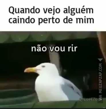 Quando alguém cai perto de mim - Vídeo  Engraçados para Redes Sociais