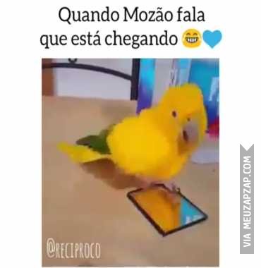 Quando o mozão fala que tá chegando  - Vídeo  Engraçados para Redes Sociais