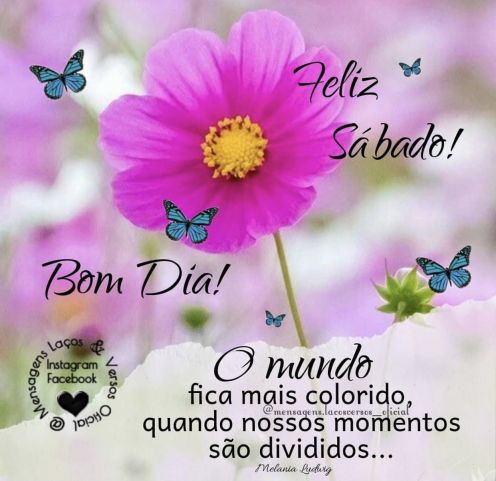 Meu ZapZap - Imagens Bom dia - Saudações para Whatsapp e Facebook Meu ZapZap - Imagens Bom dia - Saudações para Whatsapp e Facebook