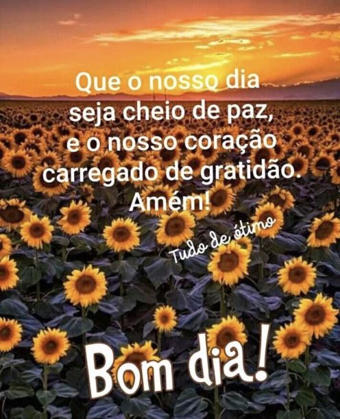 Meu ZapZap - Imagens Bom dia quarta-feira de paz - Saudações para Whatsapp e Facebook Meu ZapZap - Imagens Bom dia quarta-feira de paz - Saudações para Whatsapp e Facebook