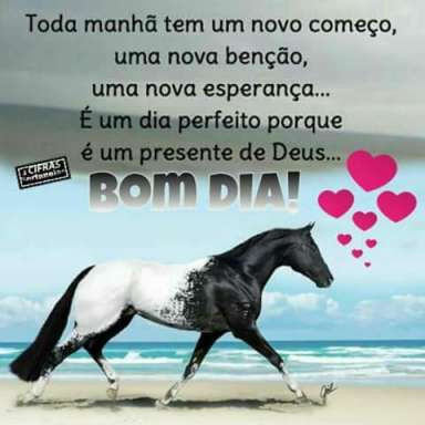 Meu ZapZap - Imagens Bom dia - Saudações para Whatsapp e Facebook Meu ZapZap - Imagens Bom dia - Saudações para Whatsapp e Facebook