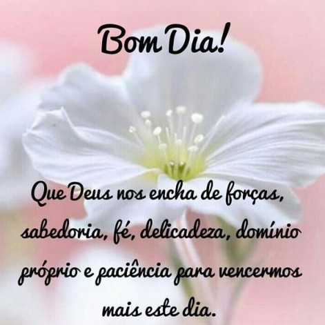 Meu ZapZap - Imagens Bom dia - Saudações para Whatsapp e Facebook Meu ZapZap - Imagens Bom dia - Saudações para Whatsapp e Facebook
