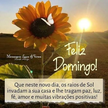 Meu ZapZap - Imagens Bom dia domingo - Saudações para Whatsapp e Facebook Meu ZapZap - Imagens Bom dia domingo - Saudações para Whatsapp e Facebook