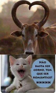 Meu ZapZap - Imagens Corno - Engraçadas para Whatsapp e Facebook Meu ZapZap - Imagens Corno - Engraçadas para Whatsapp e Facebook