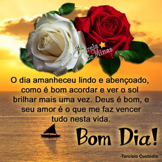 Meu ZapZap - Imagens Bom dia - Saudações para Whatsapp e Facebook Meu ZapZap - Imagens Bom dia - Saudações para Whatsapp e Facebook