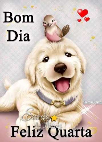 Meu ZapZap - Imagens Bom dia - Saudações para Whatsapp e Facebook Meu ZapZap - Imagens Bom dia - Saudações para Whatsapp e Facebook