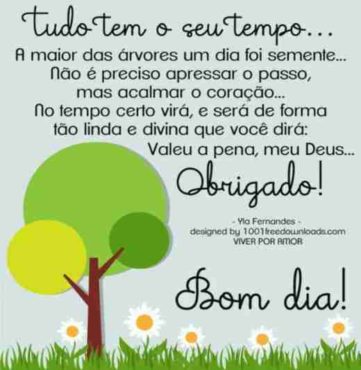 Meu ZapZap - Imagens Bom dia terça-feira - Saudações para Whatsapp e Facebook Meu ZapZap - Imagens Bom dia terça-feira - Saudações para Whatsapp e Facebook