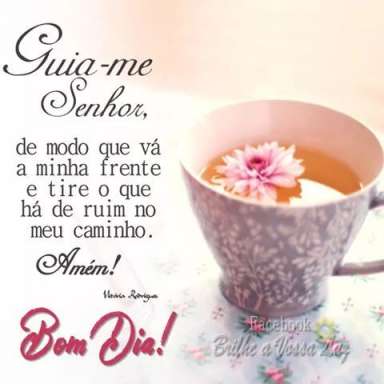 Meu ZapZap - Imagens Bom dia - Saudações para Whatsapp e Facebook Meu ZapZap - Imagens Bom dia - Saudações para Whatsapp e Facebook