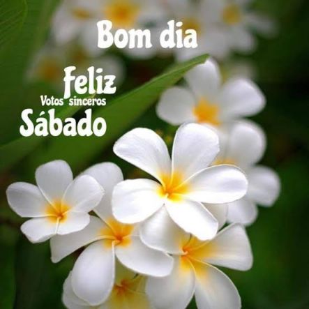 Meu ZapZap - Imagens Bom dia - Saudações para Whatsapp e Facebook Meu ZapZap - Imagens Bom dia - Saudações para Whatsapp e Facebook
