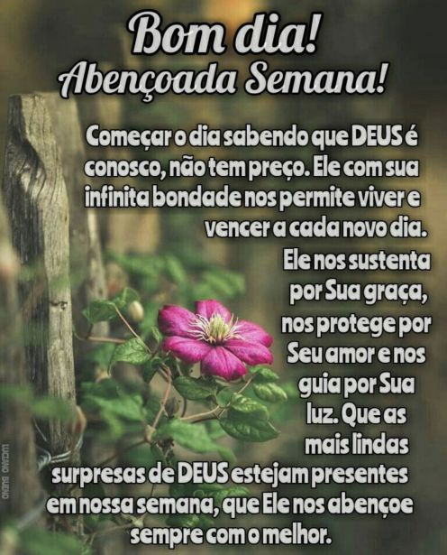 Meu ZapZap - Imagens Bom dia feliz semana - Saudações para Whatsapp e Facebook Meu ZapZap - Imagens Bom dia feliz semana - Saudações para Whatsapp e Facebook