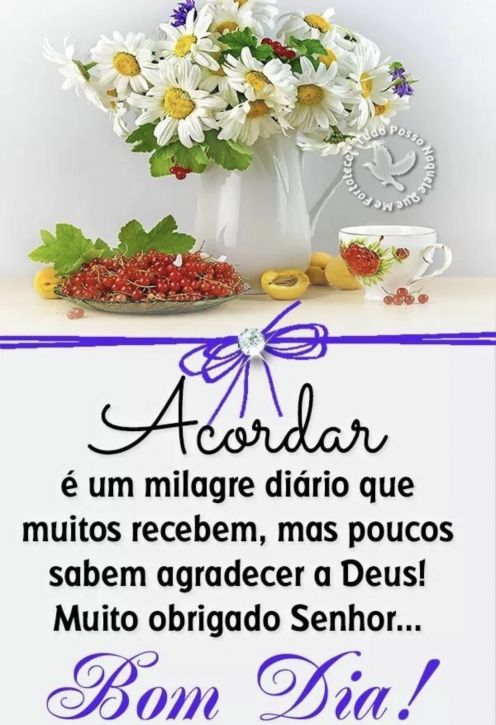 Meu ZapZap - Imagens Acordar é um milagre diário - Saudações para Whatsapp e Facebook Meu ZapZap - Imagens Acordar é um milagre diário - Saudações para Whatsapp e Facebook