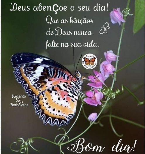 Meu ZapZap - Imagens Bom dia - Saudações para Whatsapp e Facebook Meu ZapZap - Imagens Bom dia - Saudações para Whatsapp e Facebook