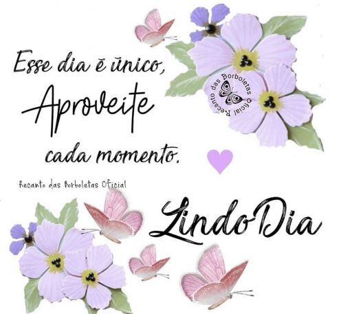 Meu ZapZap - Imagens Bom dia - Saudações para Whatsapp e Facebook Meu ZapZap - Imagens Bom dia - Saudações para Whatsapp e Facebook