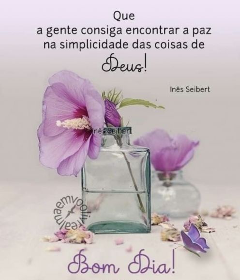 Meu ZapZap - Imagens Bom dia quinta-feira - Saudações para Whatsapp e Facebook Meu ZapZap - Imagens Bom dia quinta-feira - Saudações para Whatsapp e Facebook