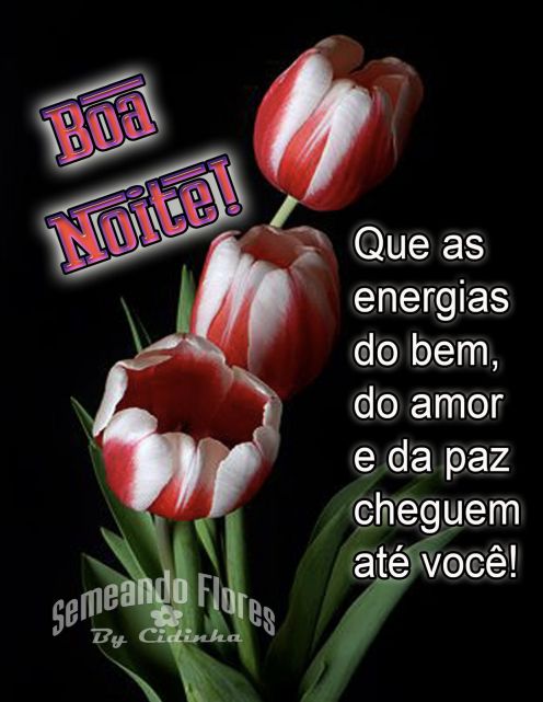 Meu ZapZap - Imagens Boa noite sexta-feira - Saudações para Whatsapp e Facebook Meu ZapZap - Imagens Boa noite sexta-feira - Saudações para Whatsapp e Facebook