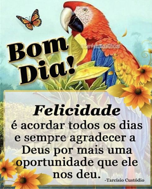 Meu ZapZap - Imagens Felicidade é acordar todos os dias - Saudações para Whatsapp e Facebook Meu ZapZap - Imagens Felicidade é acordar todos os dias - Saudações para Whatsapp e Facebook