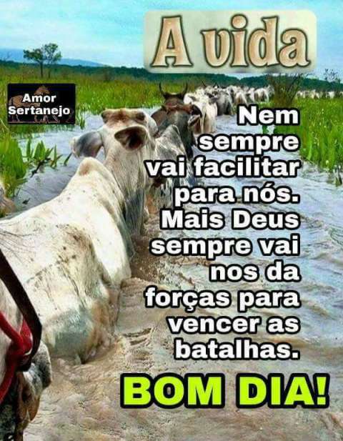 Meu ZapZap - Imagens Bom dia - Saudações para Whatsapp e Facebook Meu ZapZap - Imagens Bom dia - Saudações para Whatsapp e Facebook