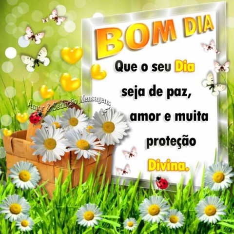Meu ZapZap - Imagens Bom dia - Saudações para Whatsapp e Facebook Meu ZapZap - Imagens Bom dia - Saudações para Whatsapp e Facebook