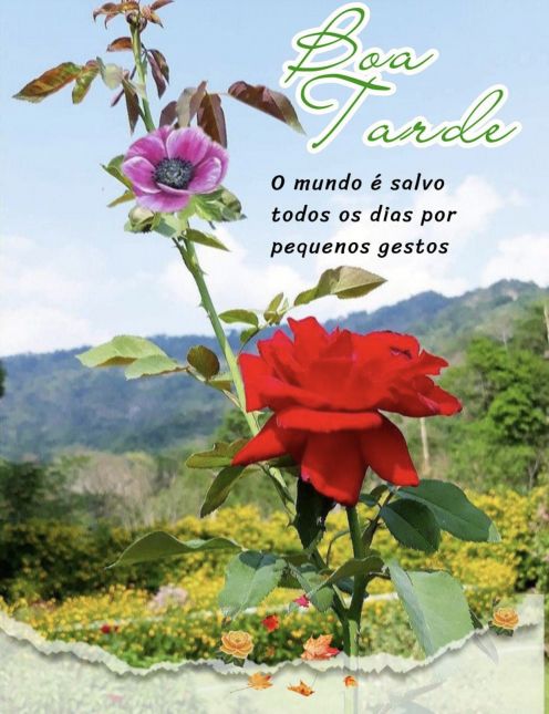 Meu ZapZap - Imagens Boa tarde abençoada - Saudações para Whatsapp e Facebook Meu ZapZap - Imagens Boa tarde abençoada - Saudações para Whatsapp e Facebook