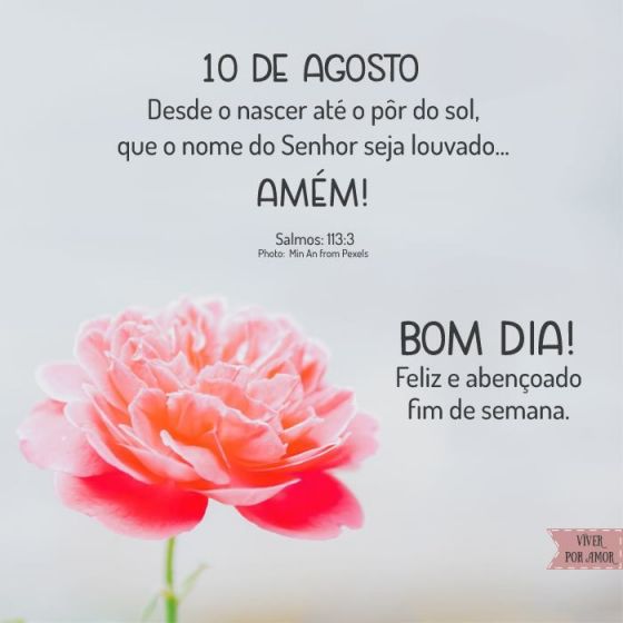 Meu ZapZap - Imagens Bom dia - Saudações para Whatsapp e Facebook Meu ZapZap - Imagens Bom dia - Saudações para Whatsapp e Facebook