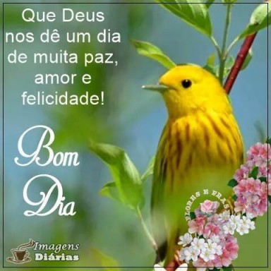 Meu ZapZap - Imagens Bom dia - Saudações para Whatsapp e Facebook Meu ZapZap - Imagens Bom dia - Saudações para Whatsapp e Facebook