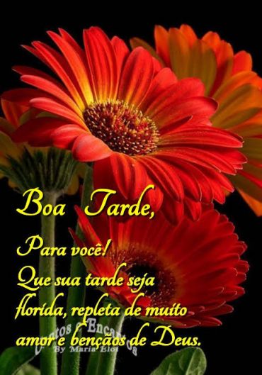 Meu ZapZap - Imagens Boa tarde - Saudações para Whatsapp e Facebook Meu ZapZap - Imagens Boa tarde - Saudações para Whatsapp e Facebook