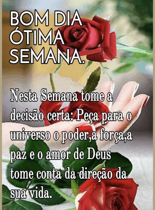 Meu ZapZap - Imagens Bom dia segunda-feira - Saudações para Whatsapp e Facebook Meu ZapZap - Imagens Bom dia segunda-feira - Saudações para Whatsapp e Facebook