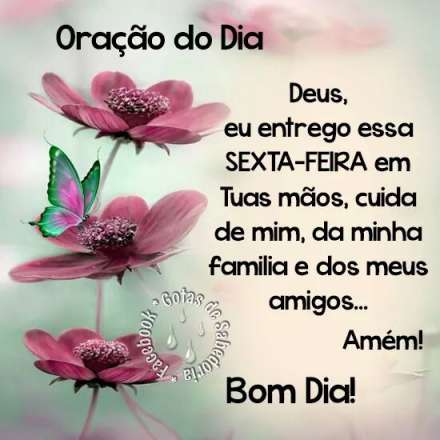 Meu ZapZap - Imagens Bom dia Sexta-feira - Saudações para Whatsapp e Facebook Meu ZapZap - Imagens Bom dia Sexta-feira - Saudações para Whatsapp e Facebook