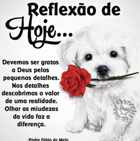 Meu ZapZap - Imagens Bom dia - Saudações para Whatsapp e Facebook Meu ZapZap - Imagens Bom dia - Saudações para Whatsapp e Facebook