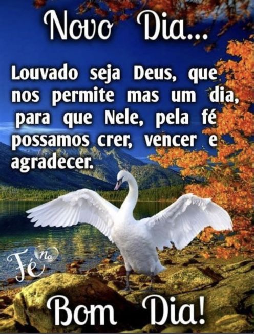 Meu ZapZap - Imagens Bom dia quinta-feira - Saudações para Whatsapp e Facebook Meu ZapZap - Imagens Bom dia quinta-feira - Saudações para Whatsapp e Facebook