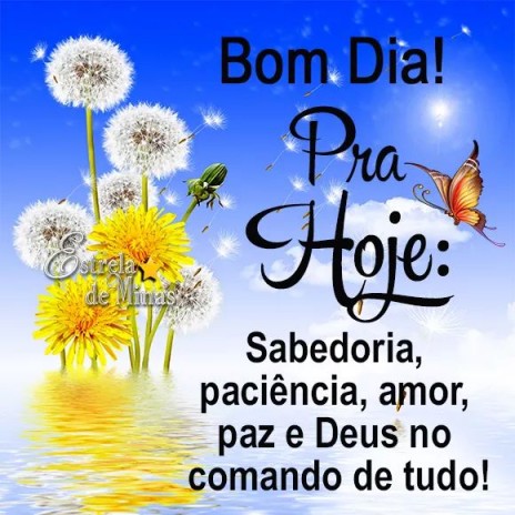 Meu ZapZap - Imagens Bom dia - Saudações para Whatsapp e Facebook Meu ZapZap - Imagens Bom dia - Saudações para Whatsapp e Facebook