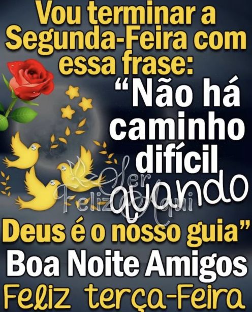 Meu ZapZap - Imagens Boa noite terça-feira - Saudações para Whatsapp e  Facebook