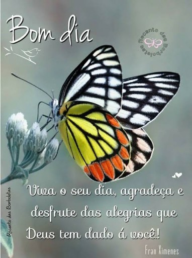 Meu ZapZap - Imagens Bom dia - Saudações para Whatsapp e Facebook Meu ZapZap - Imagens Bom dia - Saudações para Whatsapp e Facebook