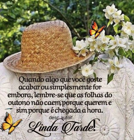 Meu ZapZap - Imagens Boa tarde quarta-feira - Saudações para Whatsapp e Facebook Meu ZapZap - Imagens Boa tarde quarta-feira - Saudações para Whatsapp e Facebook
