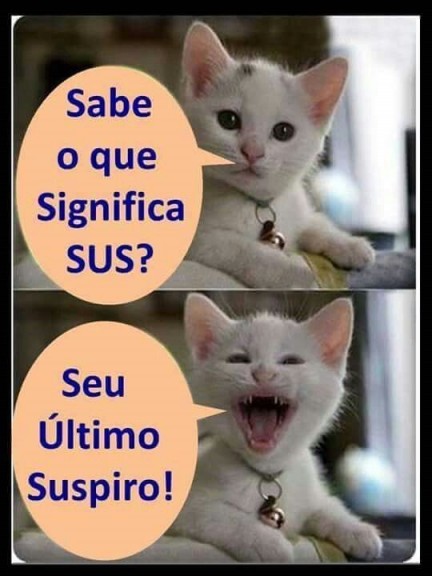 meuzapzap141308191016435227F8EEAC674D68A