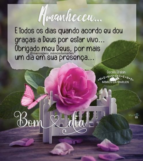 Meu ZapZap - Imagens Bom dia - Saudações para Whatsapp e Facebook Meu ZapZap - Imagens Bom dia - Saudações para Whatsapp e Facebook