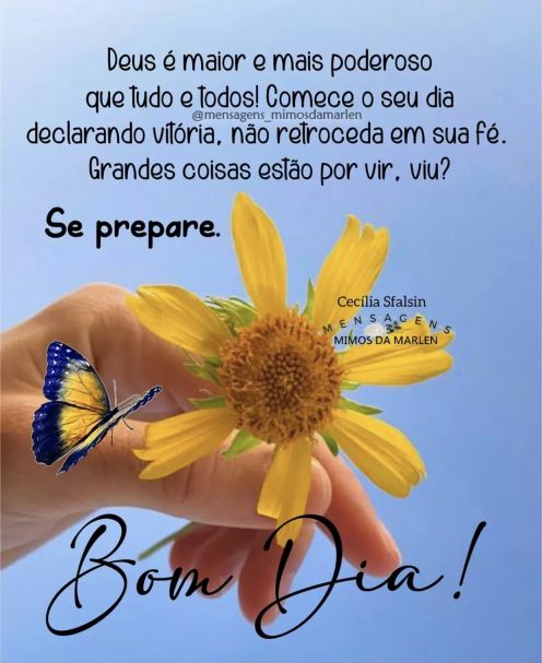Meu ZapZap - Imagens Bom dia - Saudações para Whatsapp e Facebook Meu ZapZap - Imagens Bom dia - Saudações para Whatsapp e Facebook