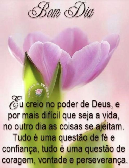 Meu ZapZap - Imagens Bom dia sexta-feira - Saudações para Whatsapp e Facebook Meu ZapZap - Imagens Bom dia sexta-feira - Saudações para Whatsapp e Facebook