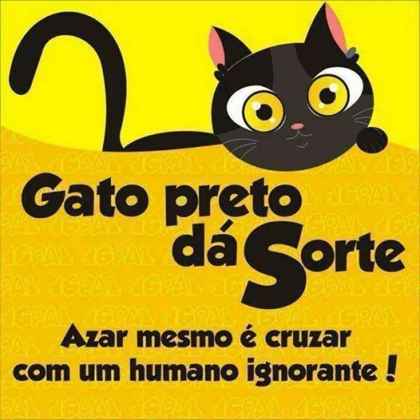 Meu ZapZap - Imagens Sexta-feira 13 Gato preto - Engraçadas para Whatsapp e Facebook Meu ZapZap - Imagens Sexta-feira 13 Gato preto - Engraçadas para Whatsapp e Facebook