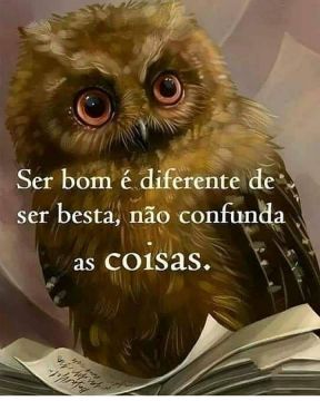 Meu ZapZap - Imagens Não confunda - Reflexão para Whatsapp e Facebook