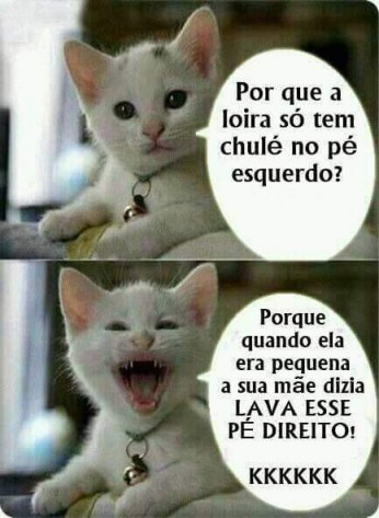 meuzapzap14140318105715FBIMG152103230584