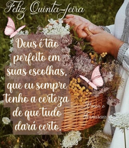 Meu ZapZap - Imagens Bom dia quinta-feira - Saudações para Whatsapp e Facebook Meu ZapZap - Imagens Bom dia quinta-feira - Saudações para Whatsapp e Facebook