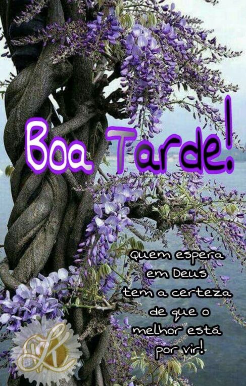 Meu ZapZap - Imagens Boa tarde quinta-feira - Saudações para Whatsapp e Facebook Meu ZapZap - Imagens Boa tarde quinta-feira - Saudações para Whatsapp e Facebook