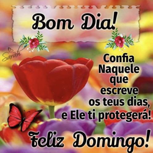 Meu ZapZap - Imagens Bom dia domingo - Saudações para Whatsapp e Facebook Meu ZapZap - Imagens Bom dia domingo - Saudações para Whatsapp e Facebook