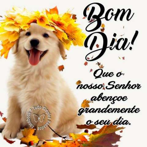 Meu ZapZap - Imagens Bom dia - Saudações para Whatsapp e Facebook Meu ZapZap - Imagens Bom dia - Saudações para Whatsapp e Facebook